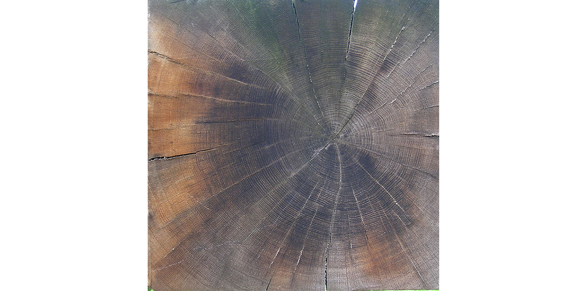 viewpoint close-up